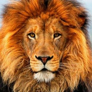 Meet your Posher, Kari